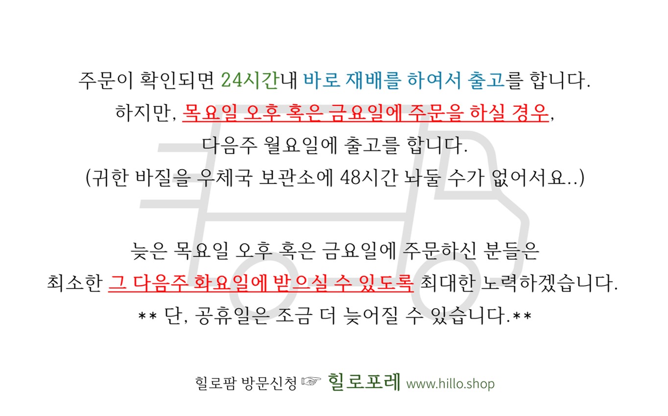 무농약 바질 500g