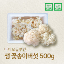 국내산 무농약 최상급 생꽃송이버섯 500g