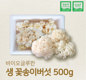 국내산 무농약 최상급 생꽃송이버섯 500g