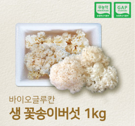 국내산 무농약 최상급 생꽃송이버섯 1kg