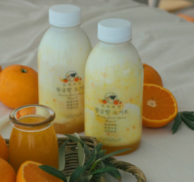 유옥목장 황금향요거트 500ml