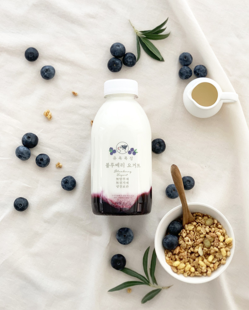 유옥목장 블루베리 요거트 500ml