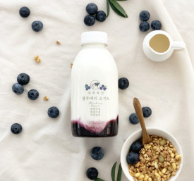 유옥목장 블루베리 요거트 500ml