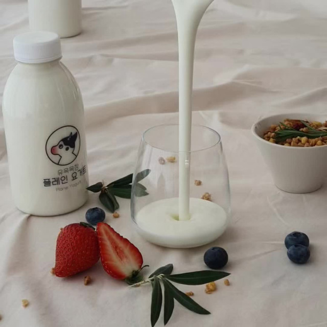 유옥목장 플레인 요거트 500ml