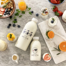 유옥목장 플레인 요거트 500ml