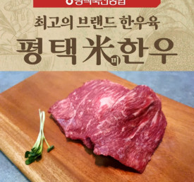 [평택축협] 슈퍼오닝 평택미한우양지 1+등급 300g