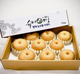 평택팜 슈퍼오닝 배 10과 이내