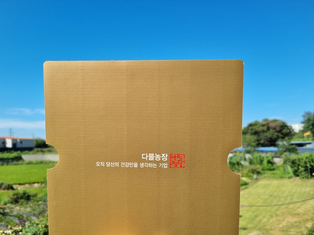 지구자차 헛개나무열매차 선물세트