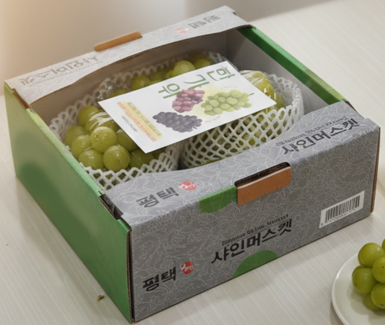 26추석) 샤인머스캣 선물세트 4kg (5송이)