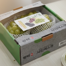 26추석) 샤인머스캣 선물세트 4kg (5송이)