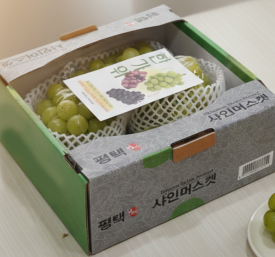26추석) 샤인머스캣 선물세트 4kg (5송이)